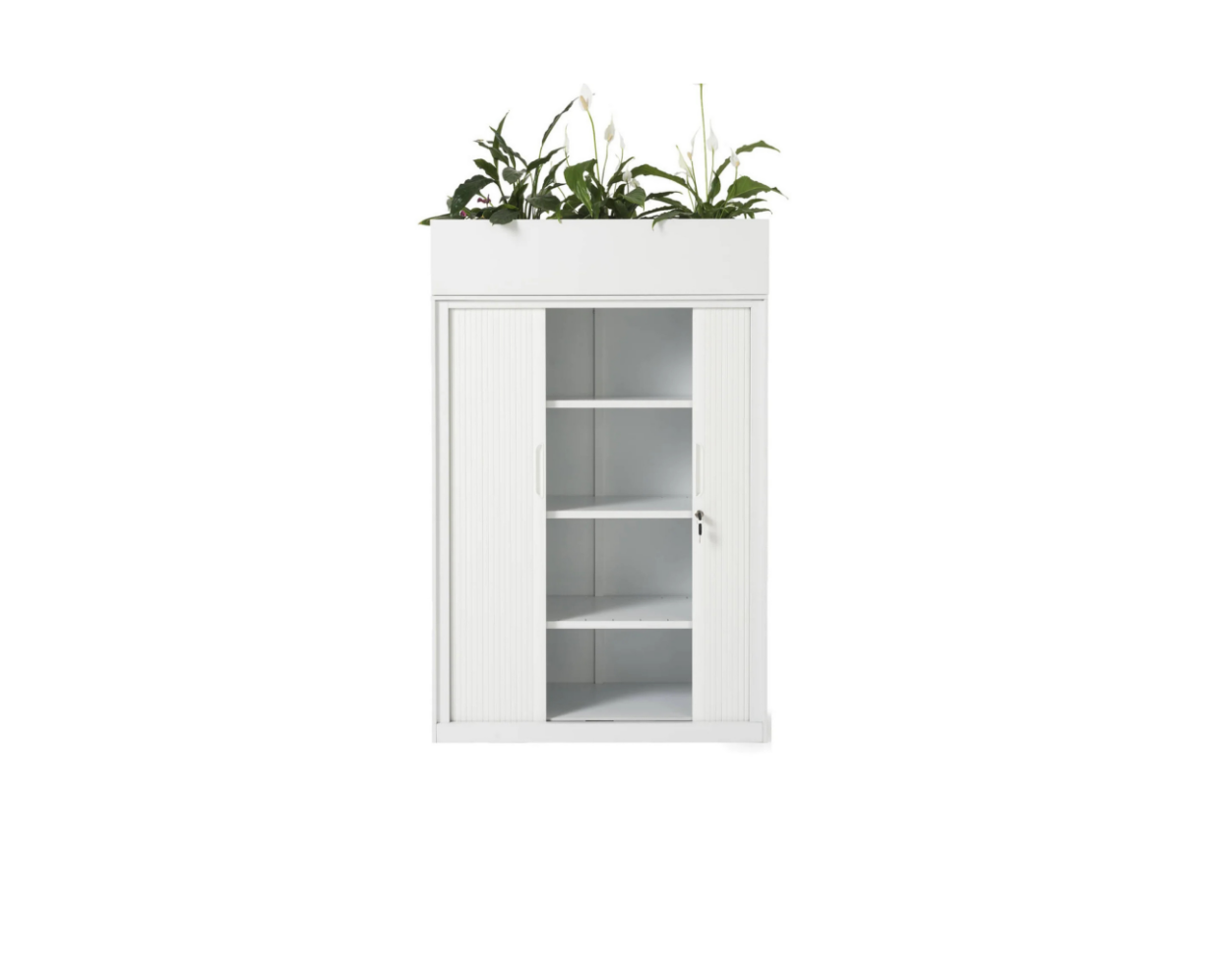 Tambour