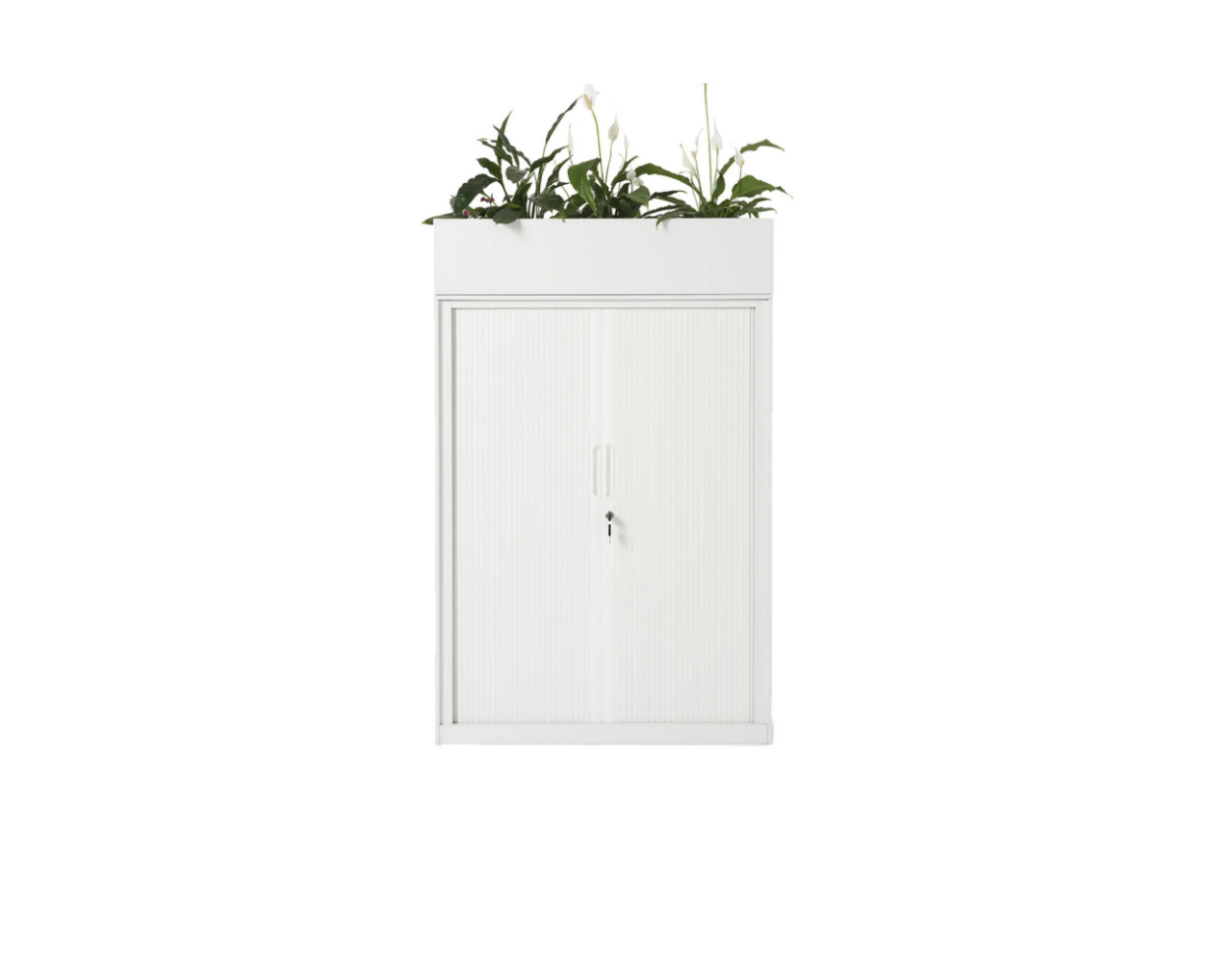 Tambour