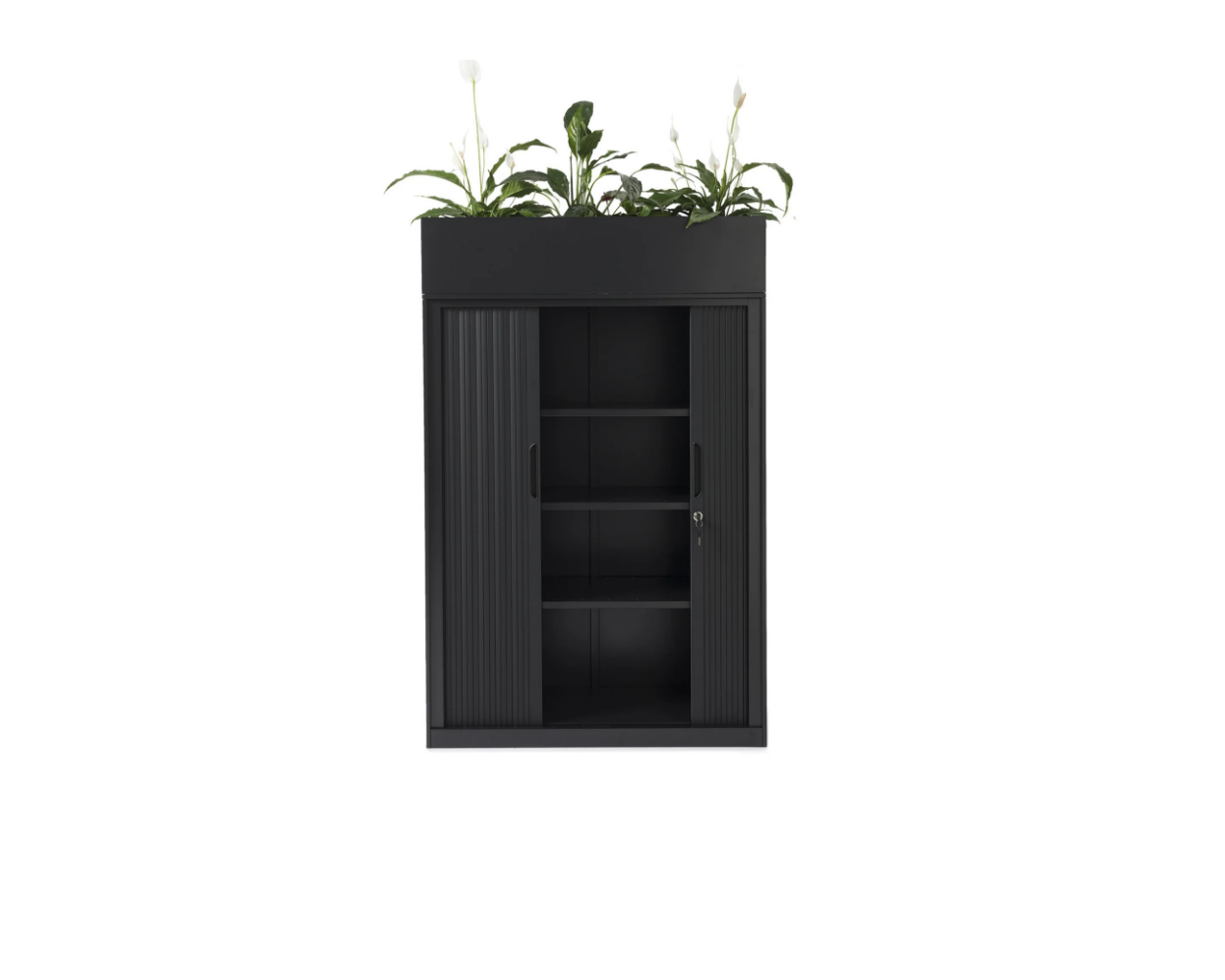 Tambour