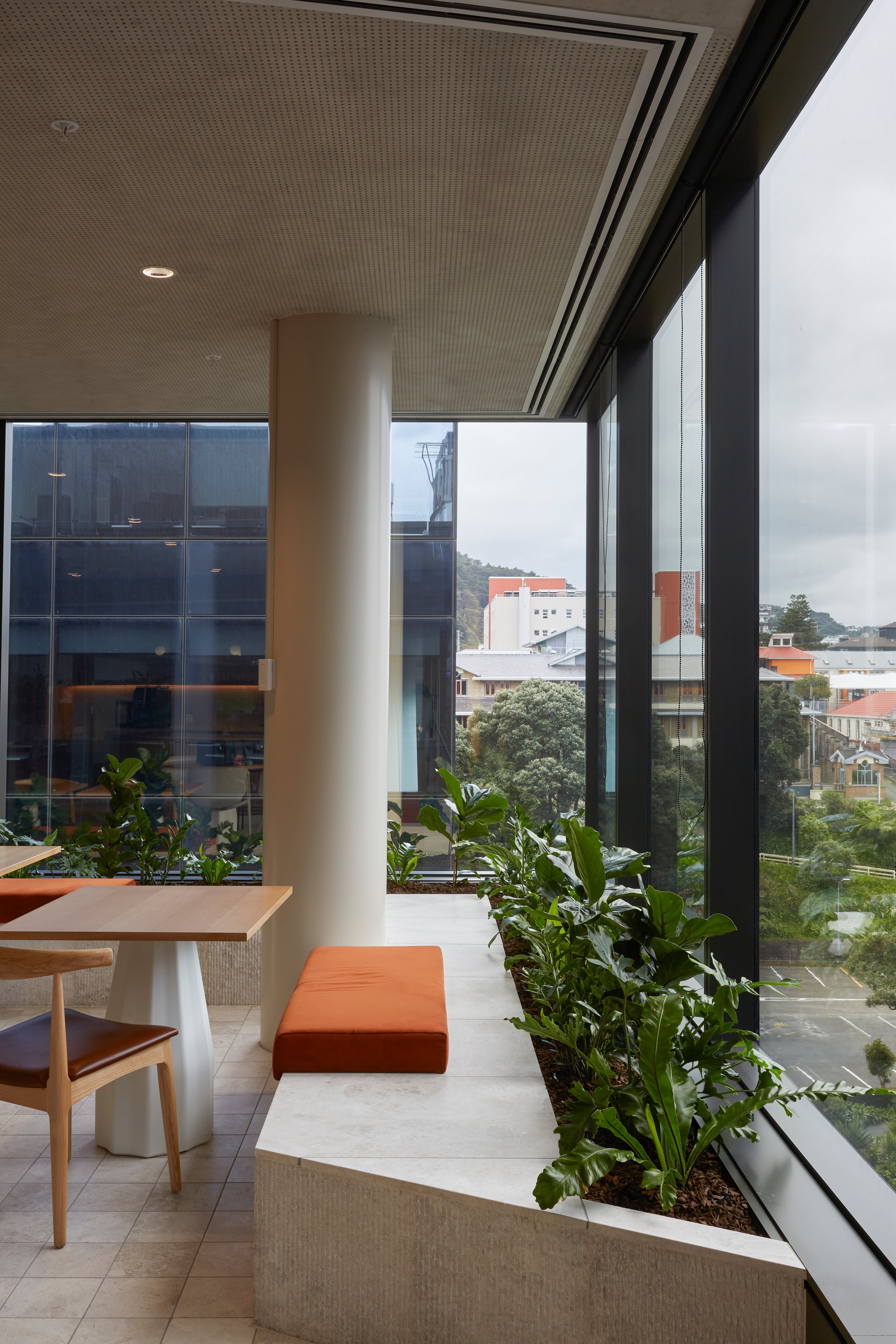 Modern interior with large windows, plants, and a bench.
