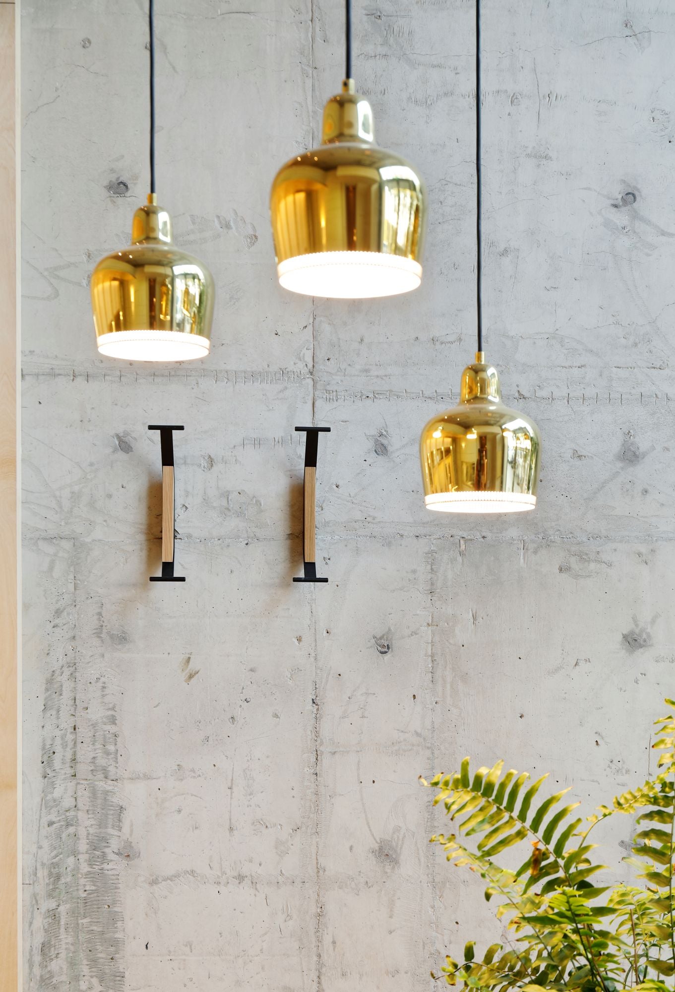 Three gold pendant lights hanging against a concrete wall with a plant in the corner.