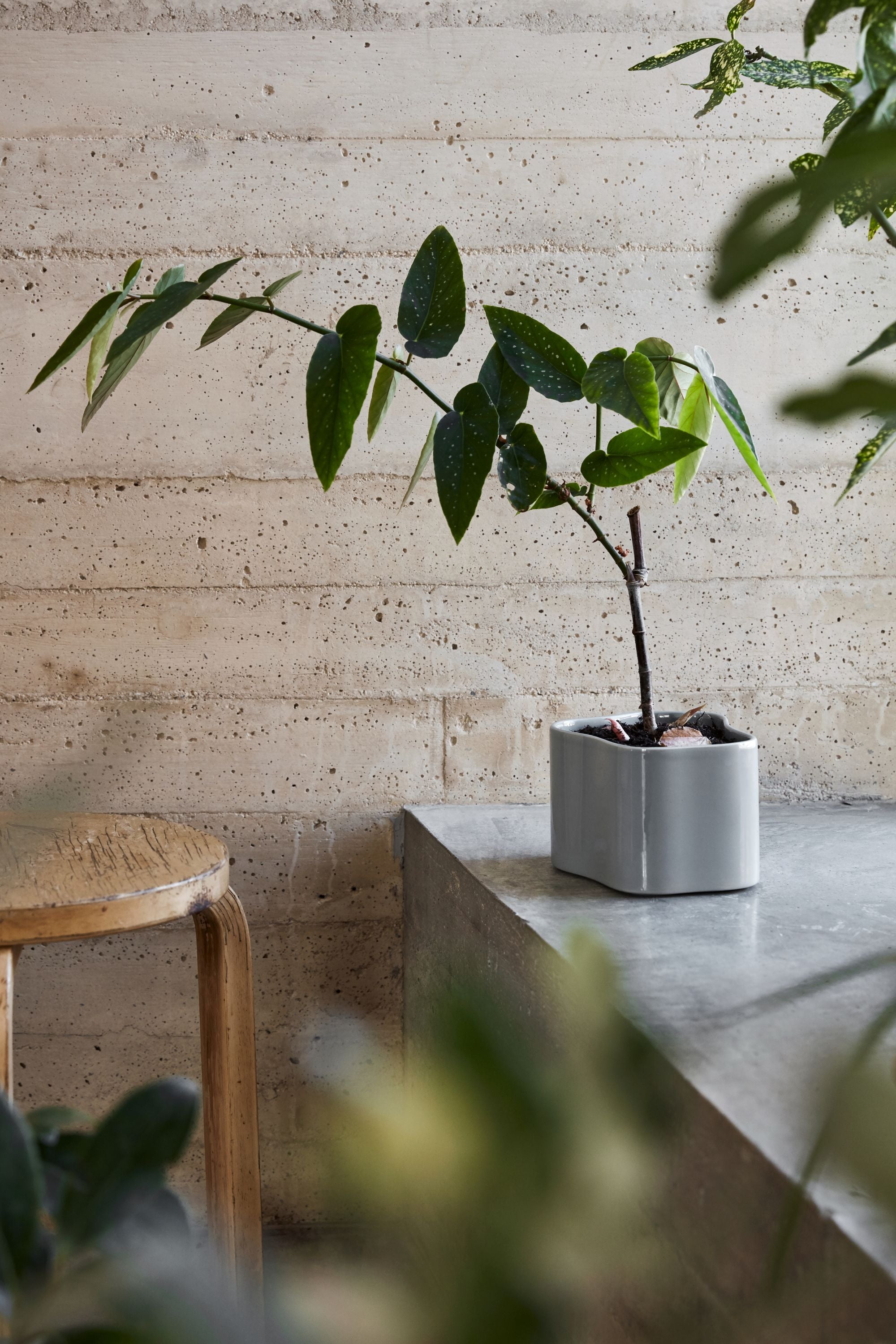 Artek Plant Pot photo