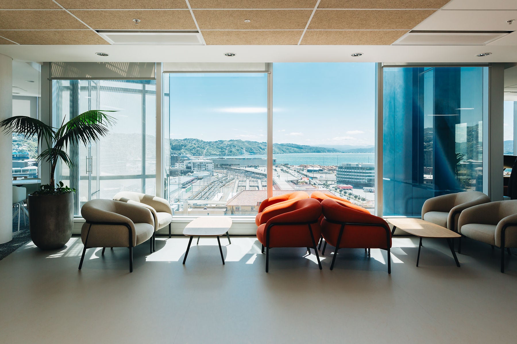 Modern office lobby with large windows, chairs, and a plant.