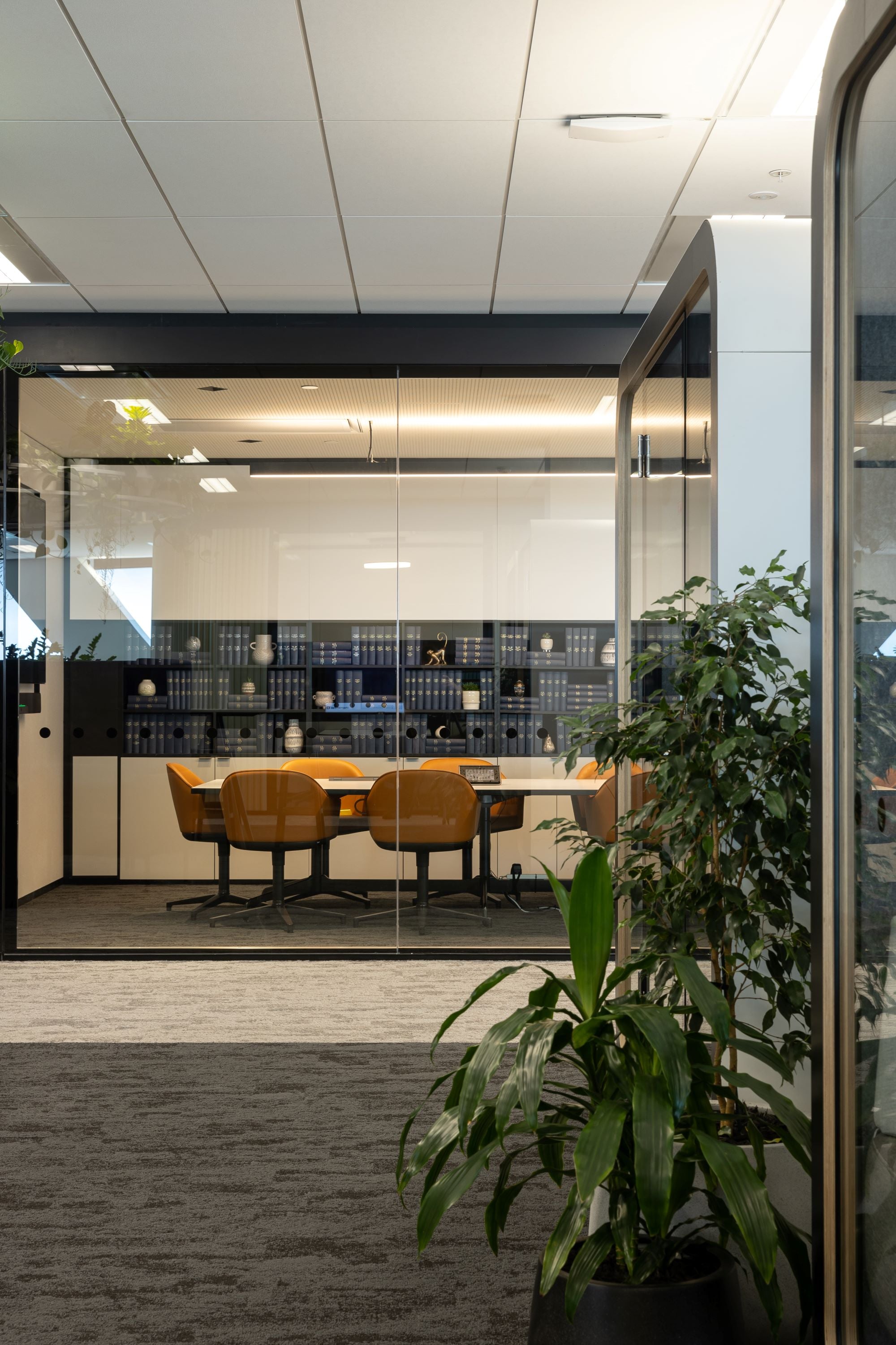 Display Image