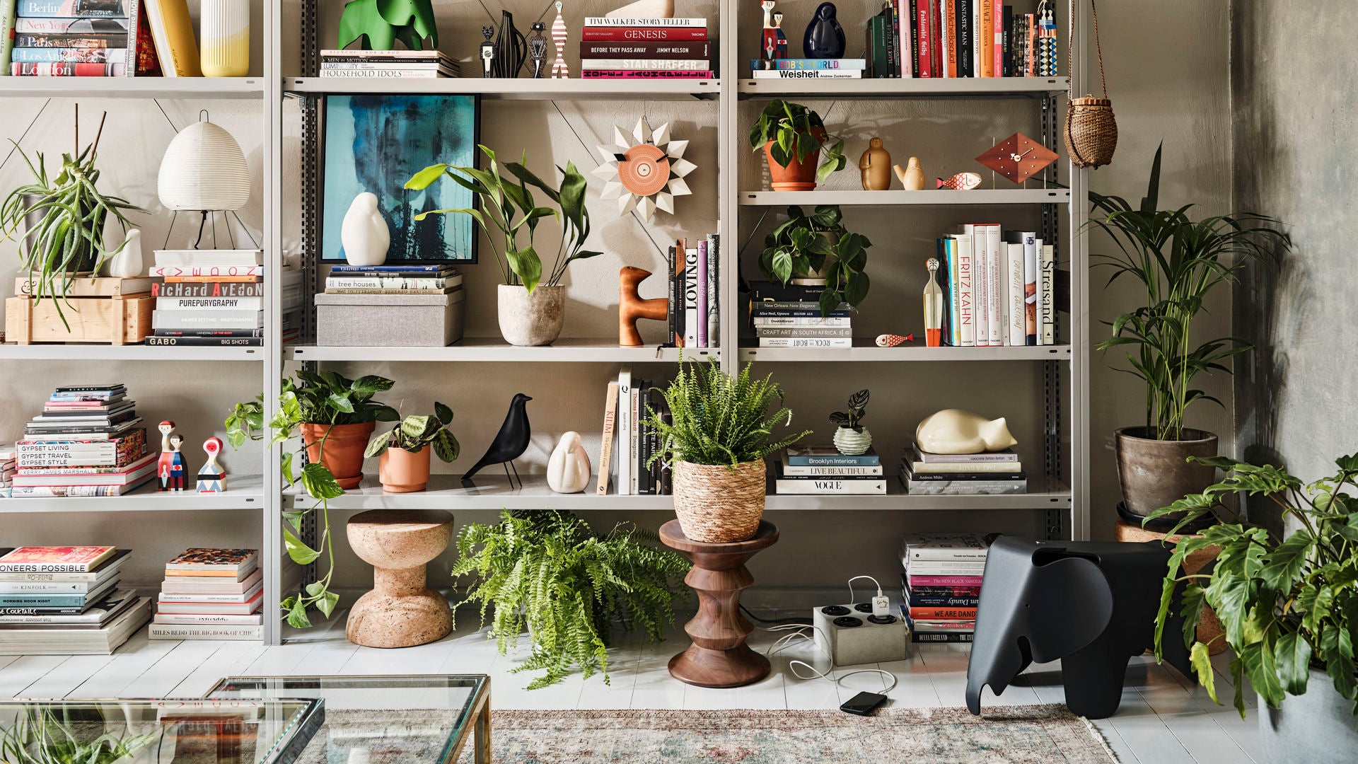 Bookshelf filled with books, plants, and decorative items in a home setting