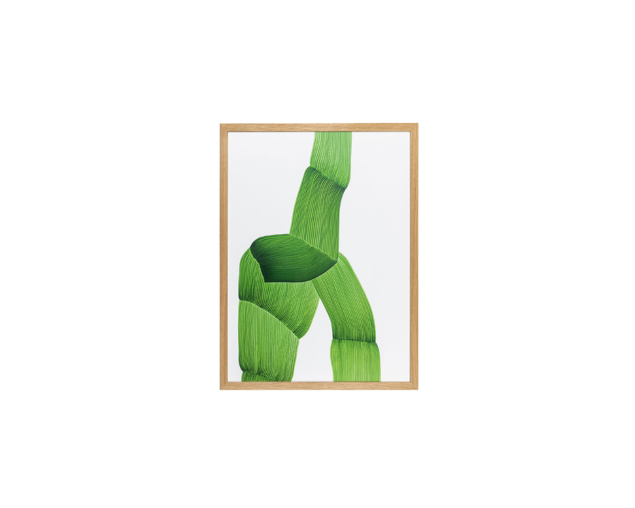 Framed artwork of green leaves on a white background