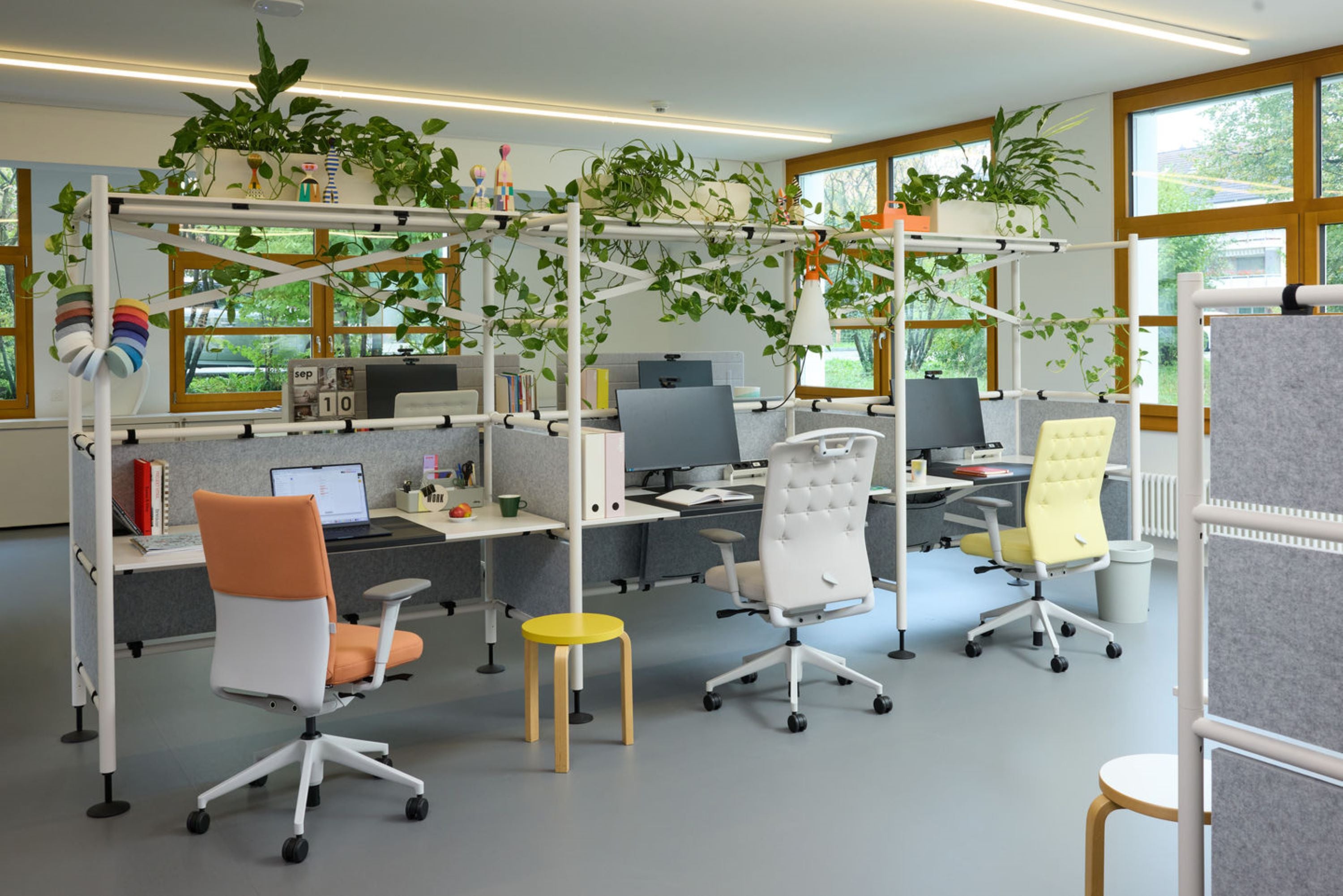 ID_Soft Insitu workspace