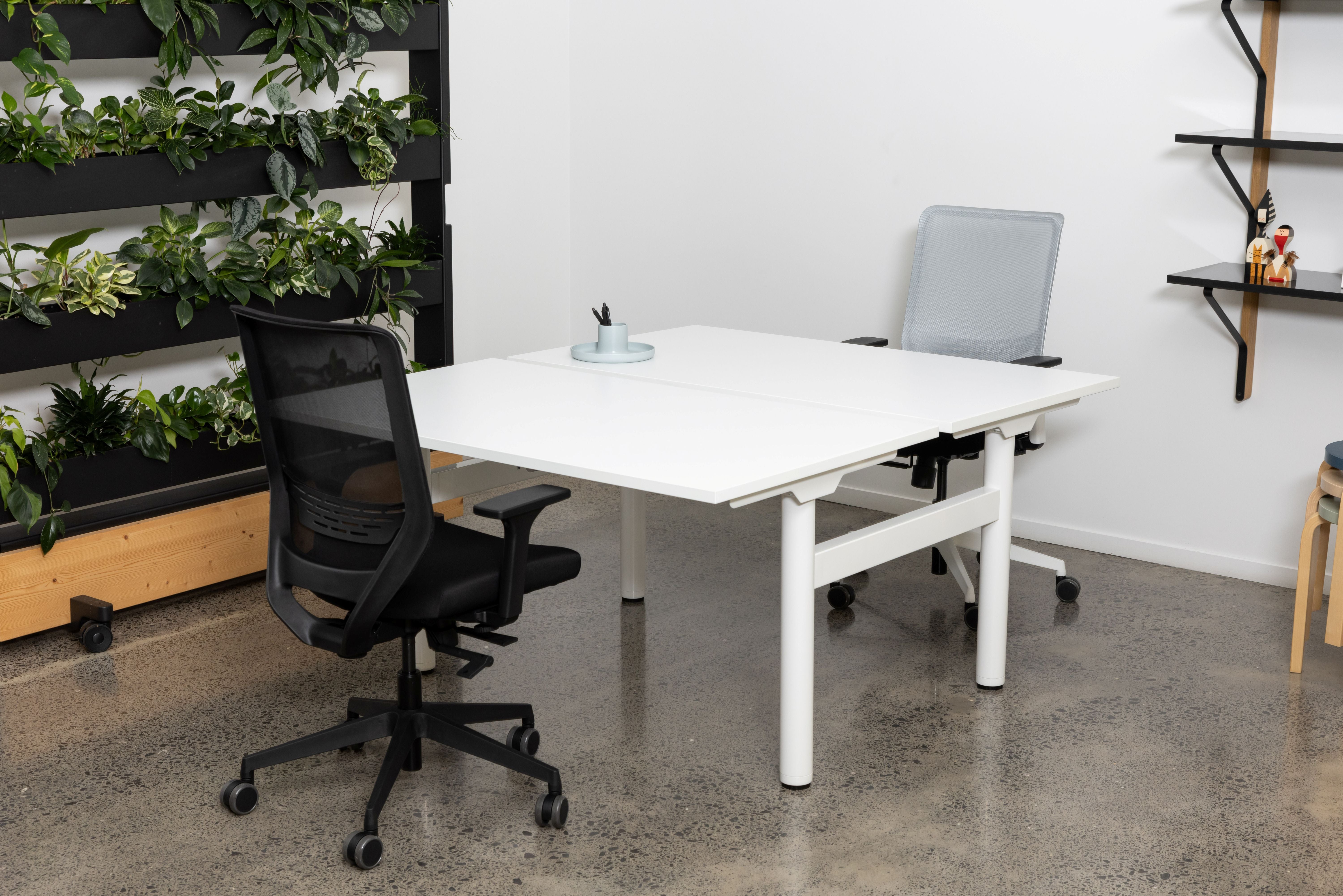 Modern office setup with a white desk and black office chairs in a room with plants and shelves.