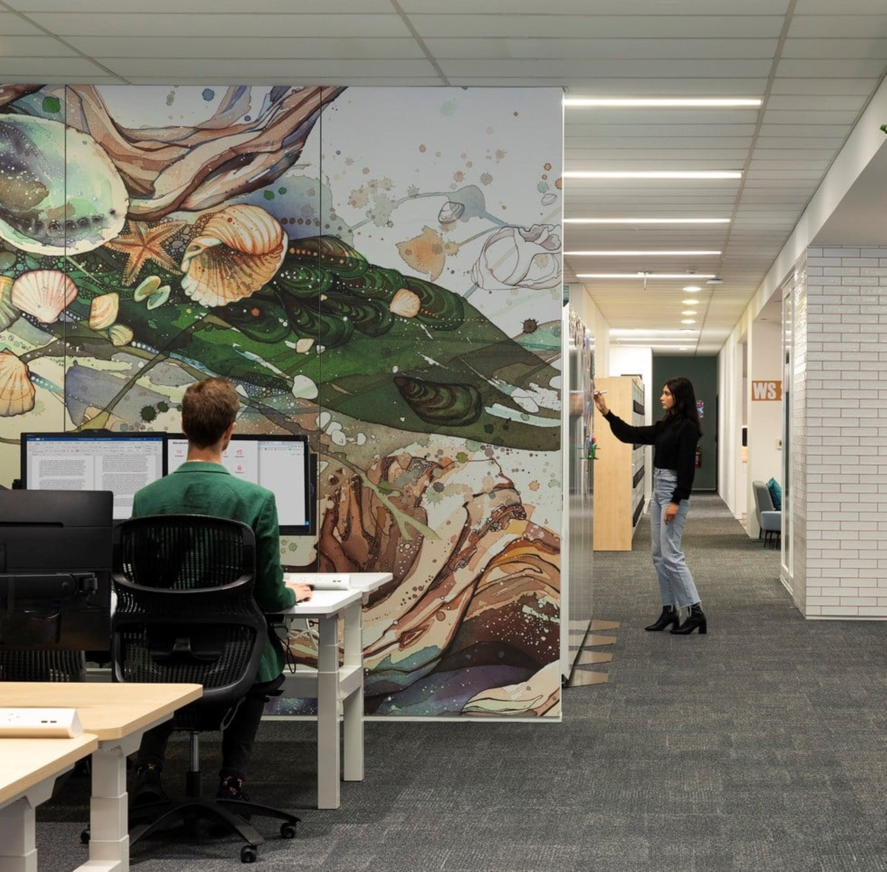 Display Image